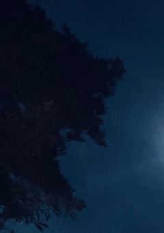 私が宇宙最強ってことは秘密｡