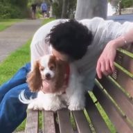 しおぽんず*さんのアイコン画像