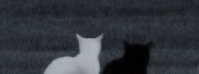  風羽．さんの壁紙画像