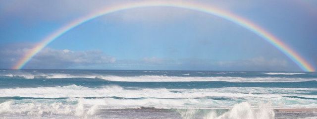 りさしんさんの壁紙画像