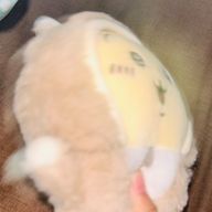 　　う ぉ さ　．  *゜さんのアイコン画像