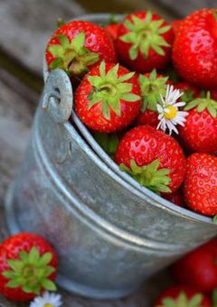 表は職員、裏側は………