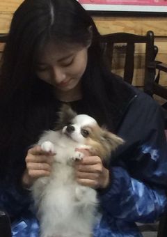 恋する理由