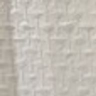 たぬさんのアイコン画像