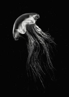 君との距離近付きたくて。