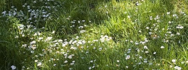 @j4de__?さんの壁紙画像