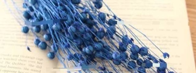 獬斗 ＿＿ ‪.ᐟ‪.ᐟさんの壁紙画像