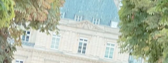 さち（사치）さんの壁紙画像