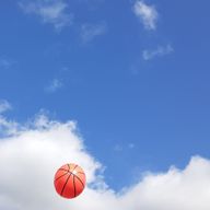 🍃魁羅🌿さんのアイコン画像