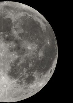 惹かれ合う僕らは