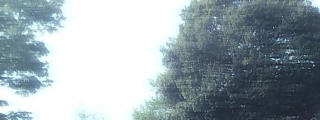 うーろん。さんの壁紙画像