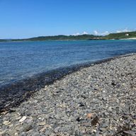 沙織さんのアイコン画像