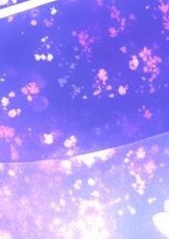 青城マネちゃん菅さんの婚約者（非公認）です