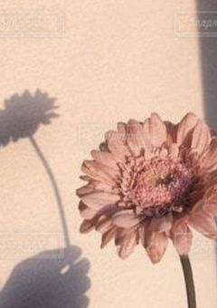 僕が僕である為に。