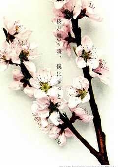 桜が舞う頃、僕はきっとまた恋をする