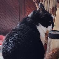 まお【現在フォロセ中】さんのアイコン画像
