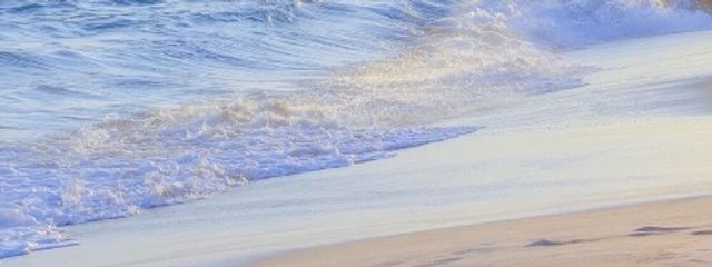 @たい焼きフォロバ100%さんの壁紙画像