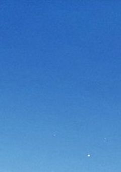 嫌いなあの子の攻略法