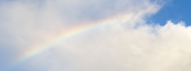 I・M🌙🐾さんの壁紙画像