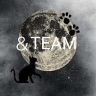 I・M🌙🐾さんのアイコン画像