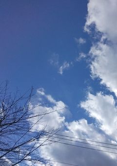 勉強 部屋 ✎ ̼