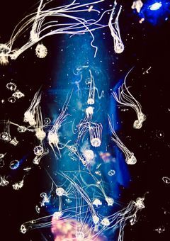 ⚠️この小説は、心の_ｱﾝ*☆*ｾﾞ;*;:&;:(+_＿;-()ﾝ)#+::……¥$€ﾊ#&_を保証しておりません。