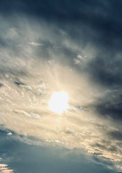 無気力組より無気力な子はちょっと変…かも？