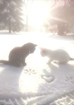 10年振りに再会した幼馴染に求婚されました🧐ver