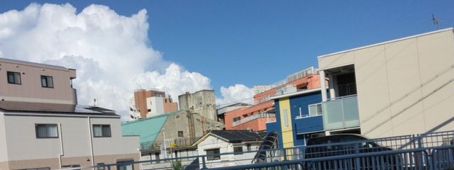 ハル。さんの壁紙画像