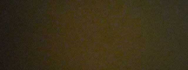 あんこさんの壁紙画像