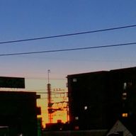 あんこさんのアイコン画像