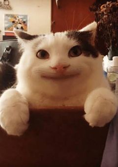 ら/運/営、日/常/組、ワ/イ/テ/ル/ズ、我/々/だの腐男子受けのBL