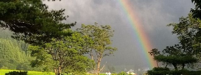 めいさんの壁紙画像