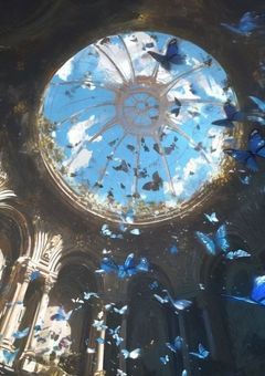 〜魔法学校と小さな監督生〜