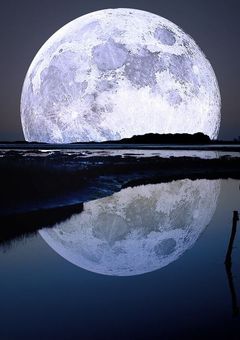 ！混沌商店大繁盛！【途中参加大歓迎】