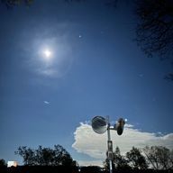 蝶さんのアイコン画像