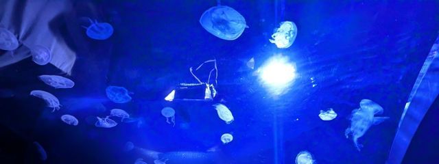 れいさんの壁紙画像