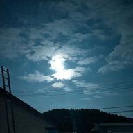 れいさんのアイコン画像