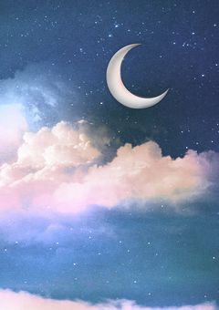 空ã®å§«ã¯æŠå Žãèã