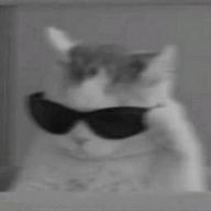 colorさんのアイコン画像