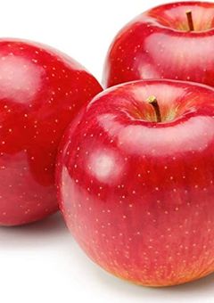 希望のない世界～天・地で暮らす者たちの楽園～