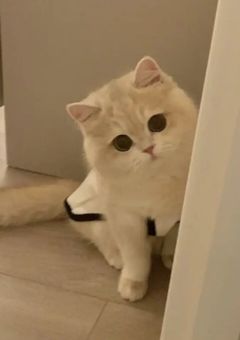 私たちはまるで…