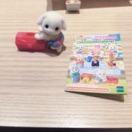 どんさんのアイコン画像