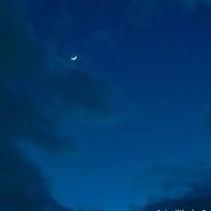 雪音さんのアイコン画像