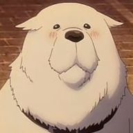 openさんのアイコン画像