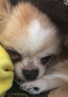 参加型設定を書いていくぅ〜！