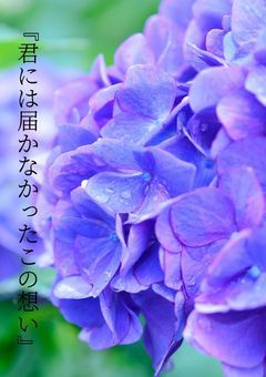 『君には届かなかったこの想い』