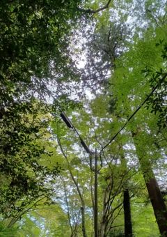 青い空で、君と。