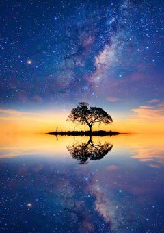 #偽りとの境界線