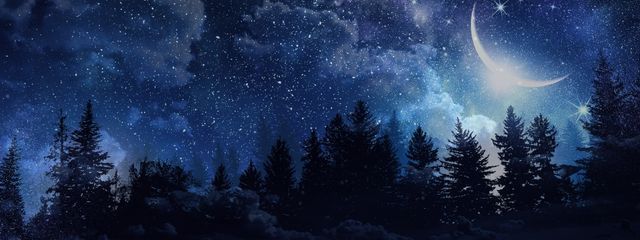 星水 透霞さんの壁紙画像